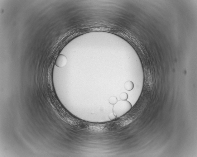 X0000085840690200704091724