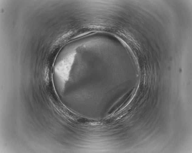 X0000085840692200704091724