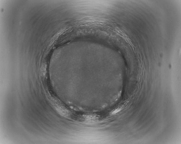 X0000085840693200704091724