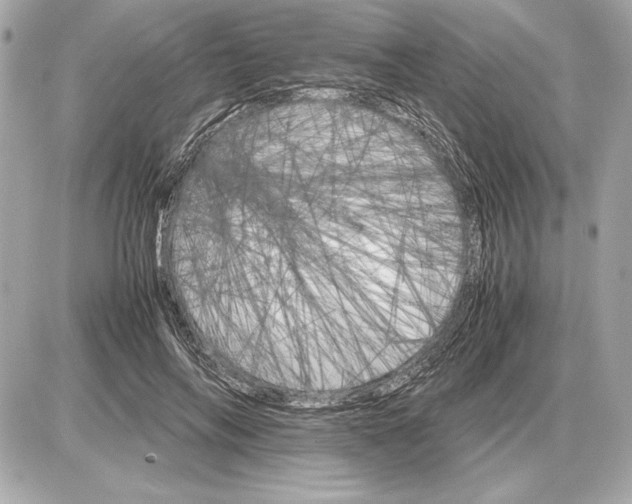 X0000085840694200704091724