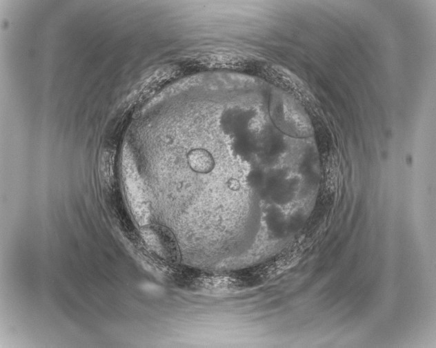 X0000085840695200704091724