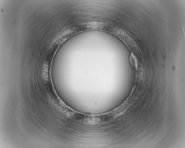 X0000085840696200704091724