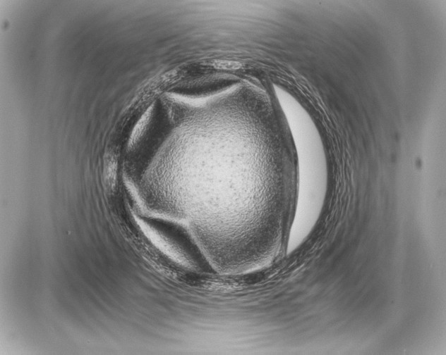 X0000085840697200704091724