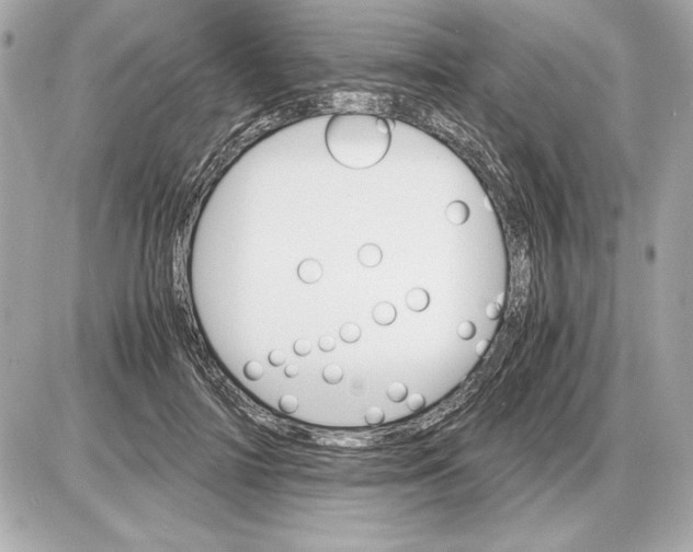 X0000085840698200704091724