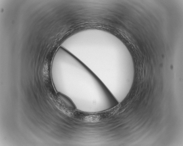 X0000085840700200704091724