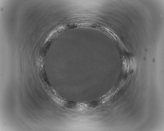 X0000085840701200704091724