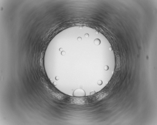 X0000085840702200704091724