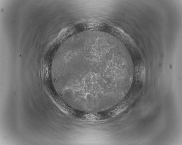 X0000085840703200704091724