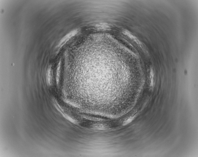 X0000085840704200704091723