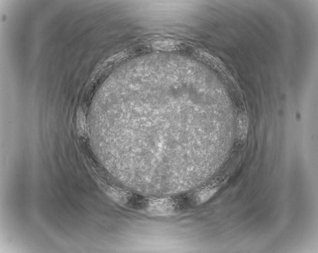 X0000085840705200704091723