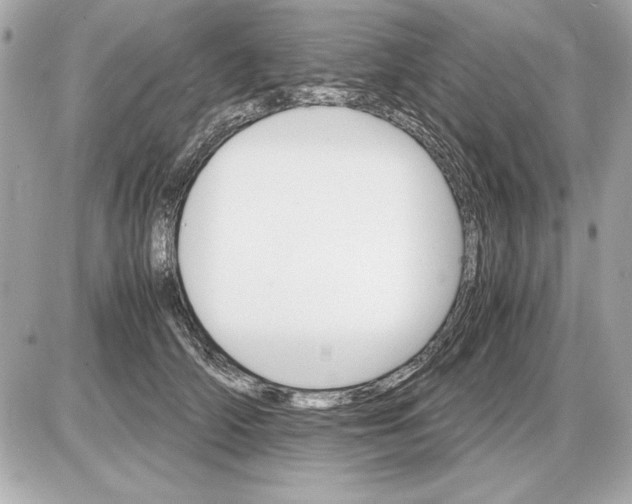 X0000085840706200704091723