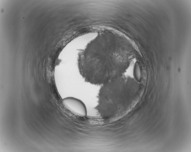 X0000085840707200704091723