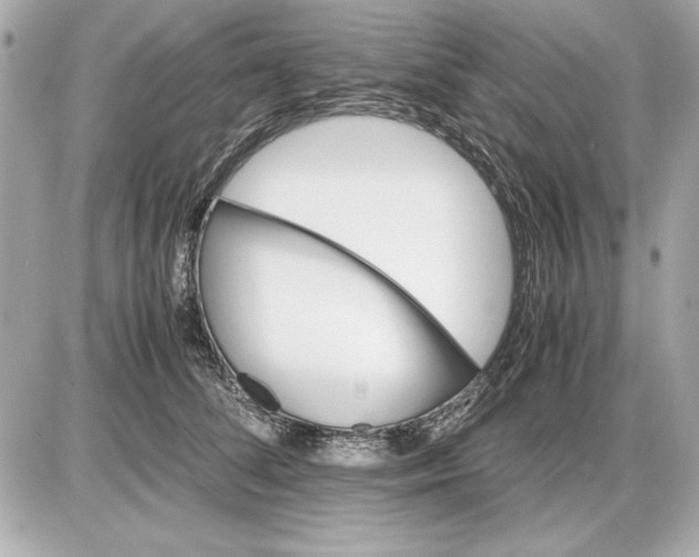 X0000085840708200704091723