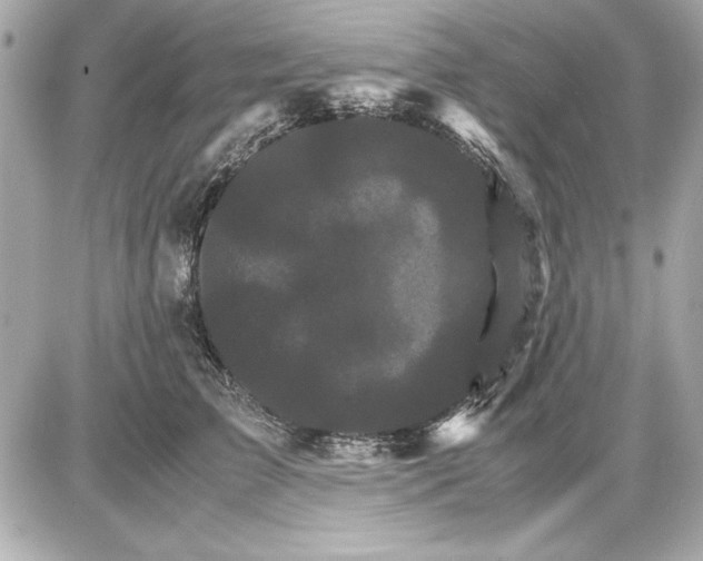 X0000085840709200704091723