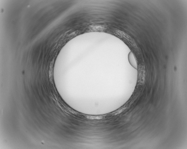 X0000085840710200704091723