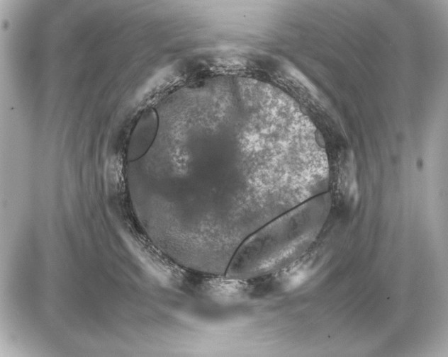 X0000085840711200704091723