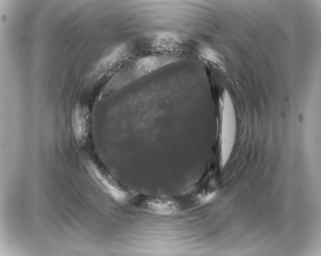 X0000085840712200704091723