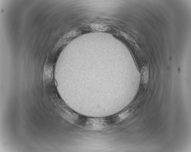 X0000085840713200704091723