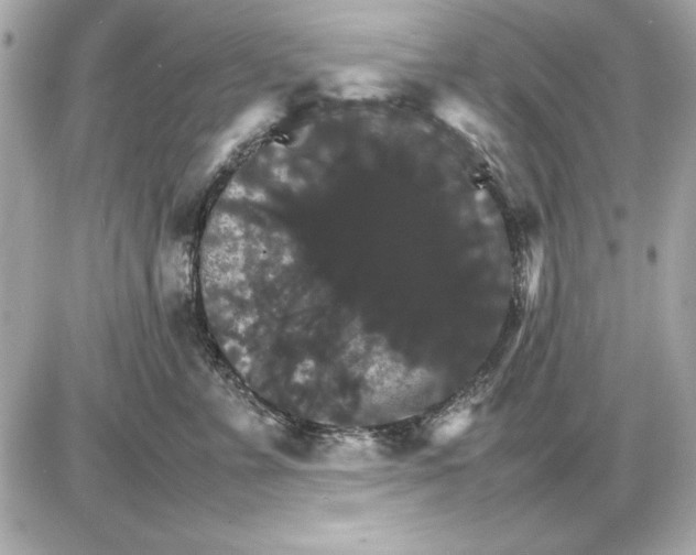 X0000085840715200704091723