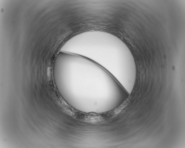 X0000085840716200704091723