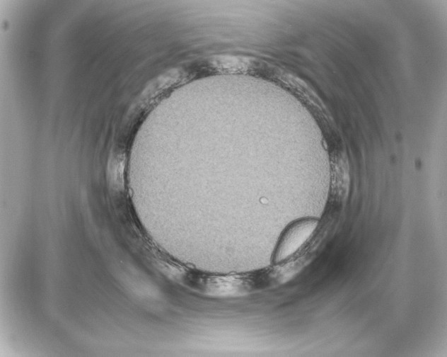 X0000085840717200704091723