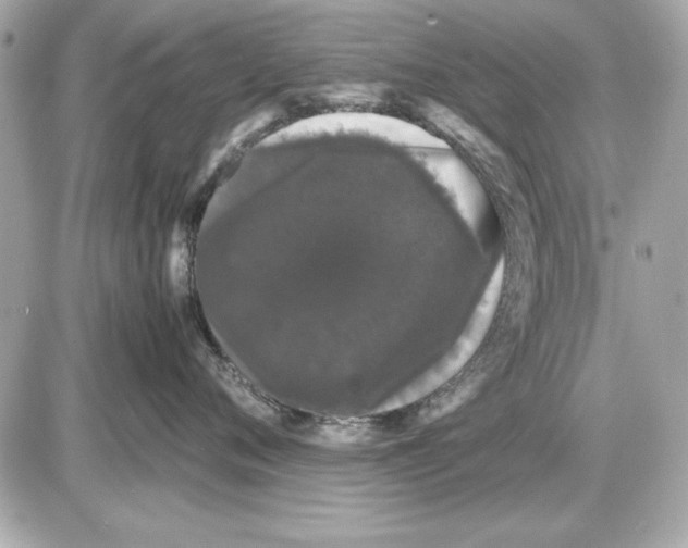 X0000085840720200704091723