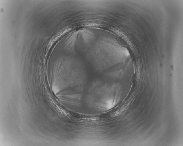 X0000085840721200704091722