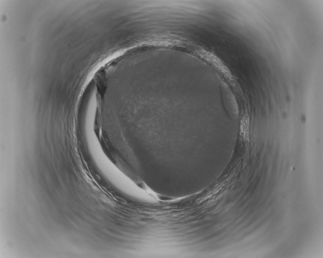 X0000085840724200704091722