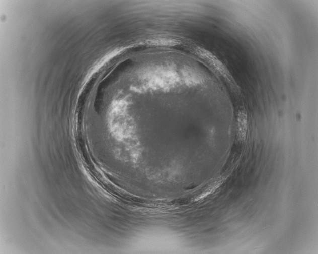 X0000085840726200704091723