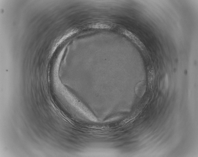 X0000085840727200704091723