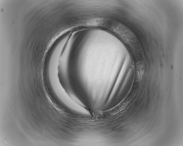 X0000085840728200704091723