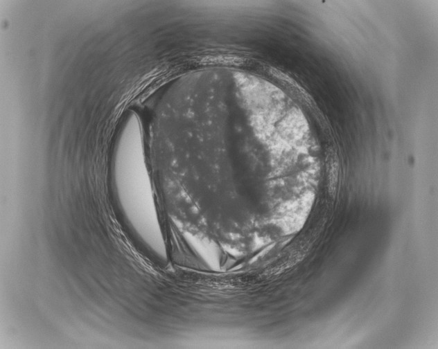 X0000085840729200704091723