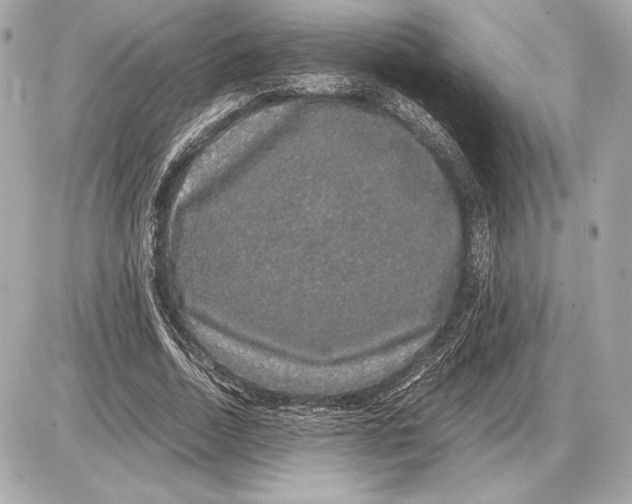 X0000085840730200704091723