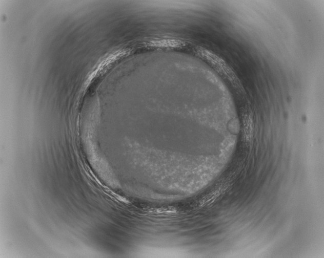 X0000085840731200704091723