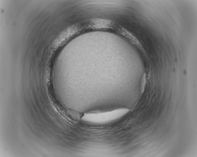 X0000085840732200704091723