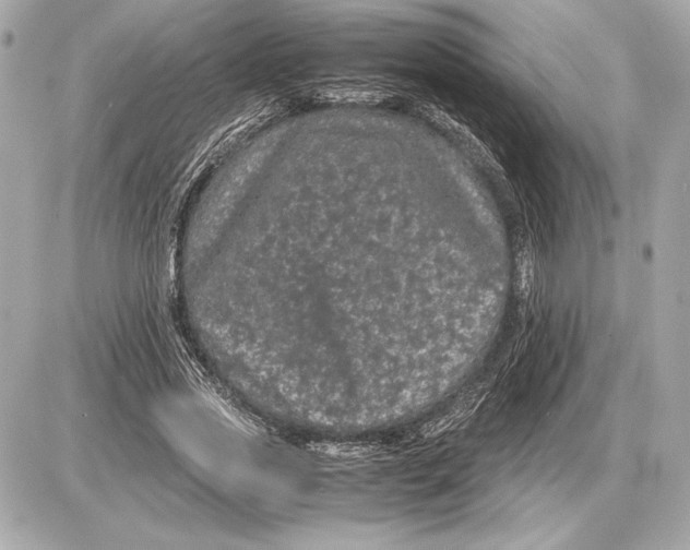 X0000085840733200704091723