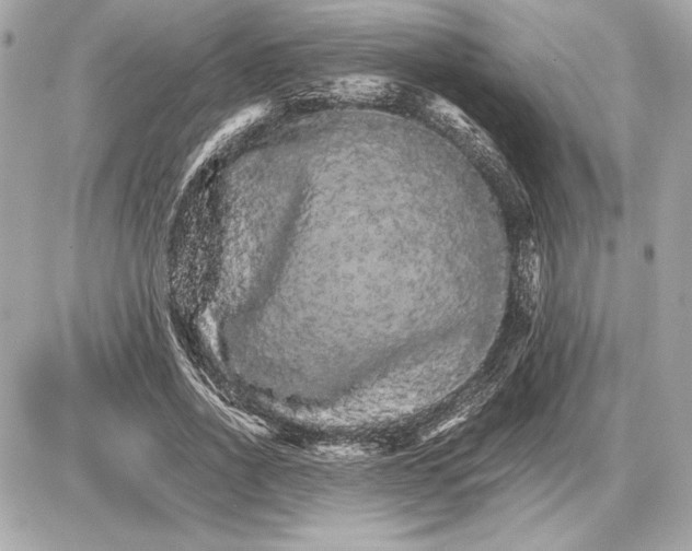 X0000085840734200704091723