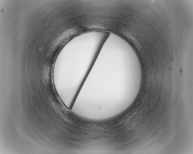 X0000085840735200704091723