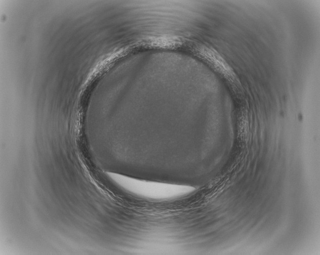 X0000085840736200704091723