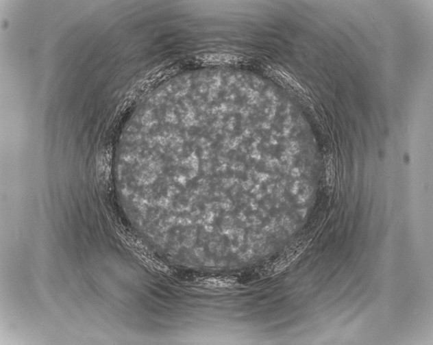 X0000085840737200704091723