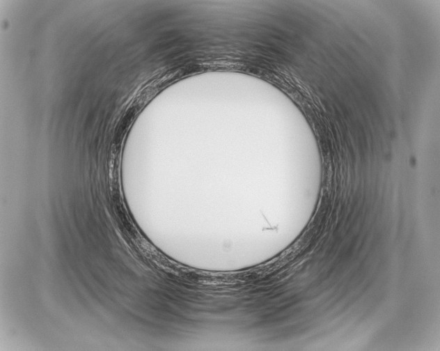 X0000085840739200704091723