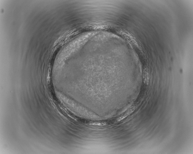 X0000085840740200704091723