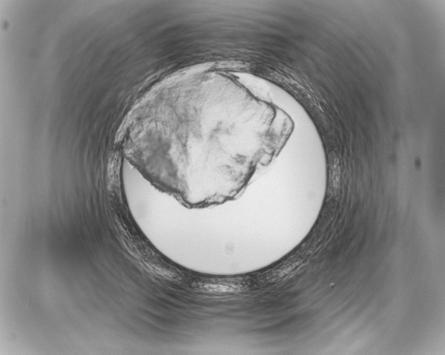 X0000085840741200704091723