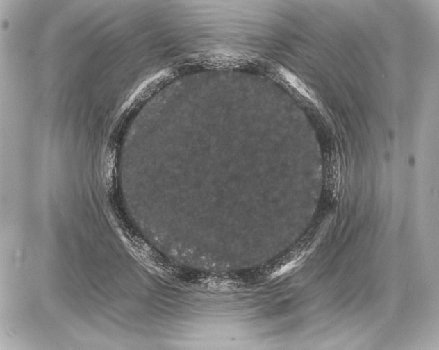 X0000085840742200704091723