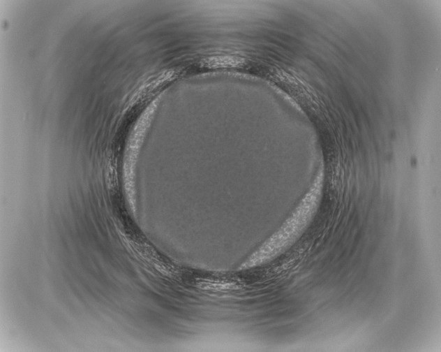 X0000085840743200704091723