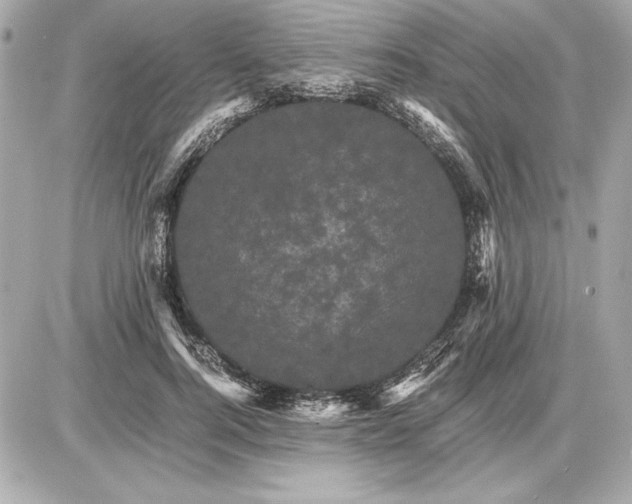 X0000085840744200704091723