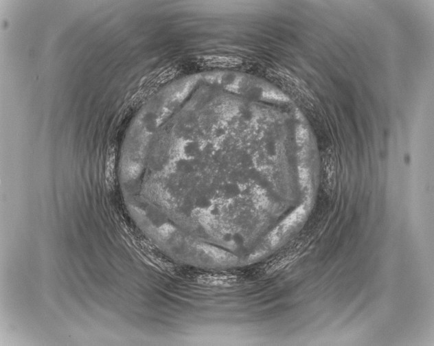 X0000085840745200704091723