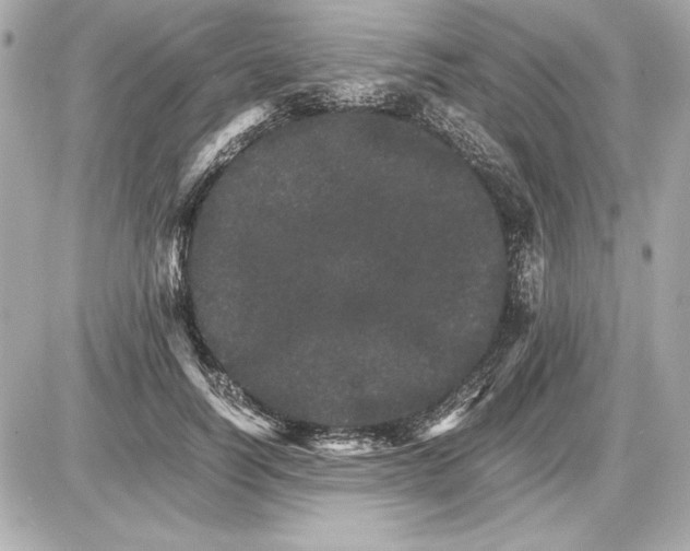 X0000085840746200704091723