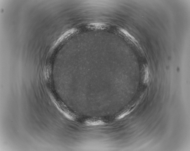 X0000085840747200704091723