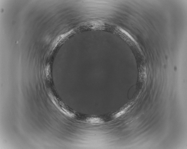 X0000085840748200704091723